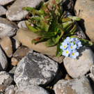 Weing__rtner Rudi 2.JPG