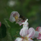 M__ller Wilfried 2.JPG