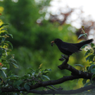 Weing__rtner Rudi 1.JPG