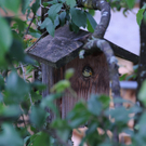 Weing__rtner Rudi 2.JPG