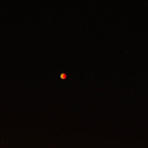 IMG_4711.jpg