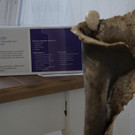 19_Praxisraum Daniela Knapp.JPG