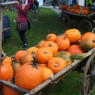 IMG_1979.JPG