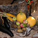 _DSC8781.jpg
