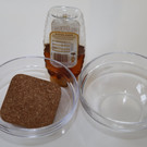 Natur-Experimente