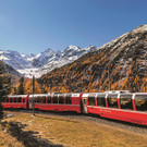 Von Gletschern zu Palmen 