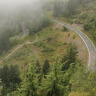IMG_1037A.jpg