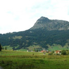 IMG_1154A.jpg
