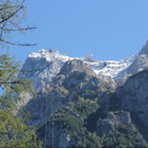 IMG_1356A.jpg