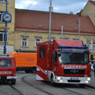 DSC_1855.JPG
