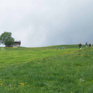 Pilgern16_jpg-1275478551