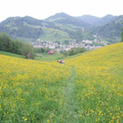 Pilgern15_jpg-1275478556