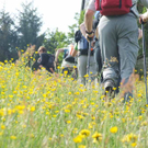 Pilgern10_jpg-1275478561