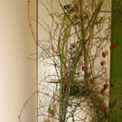 KOE_Eroeffnung Physiotherapie Montfort 10.jpg