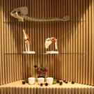 KOE_Eroeffnung Physiotherapie Montfort 19.jpg