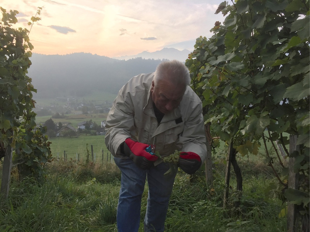 KOE_Wimmeln in der Chesa Druschauna 5.jpg