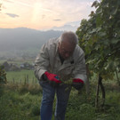KOE_Wimmeln in der Chesa Druschauna 5.jpg