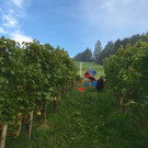 KOE_Wimmeln in der Chesa Druschauna 8.jpg
