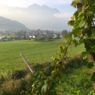 KOE_Wimmeln in der Chesa Druschauna 11.jpg