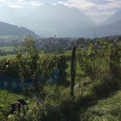 KOE_Wimmeln in der Chesa Druschauna 20.jpg