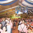 20151003-wiesn-vienna-129.jpg
