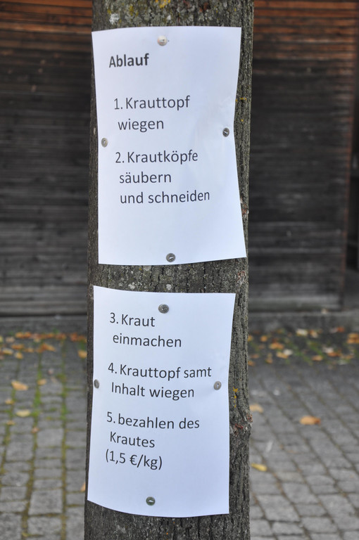 DSC_0092.JPG