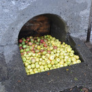 DSC_0021.JPG