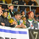 Fans.jpg