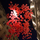 file6mjy79qalpvnokkx1my.jpg
