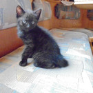 DSC03037.JPG