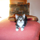 DSC03035.JPG