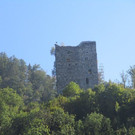 IMG_3334.jpg