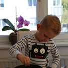 IMG_3740.JPG