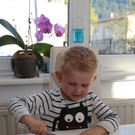 IMG_3765.JPG