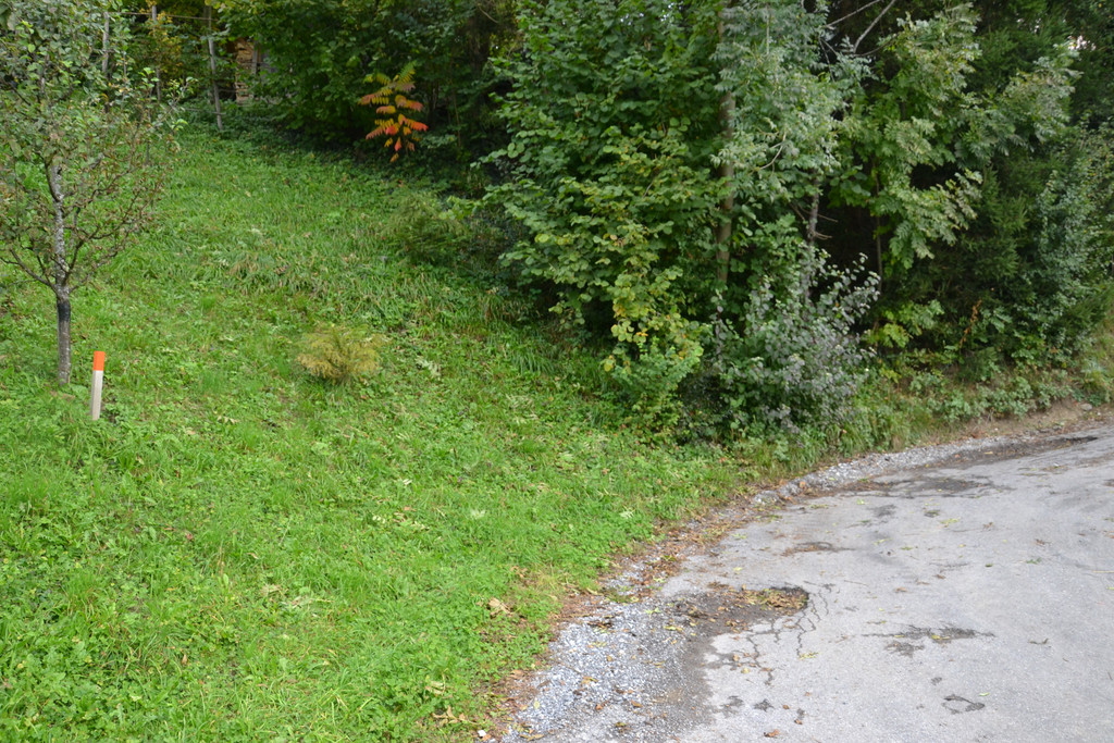 DSC_0302.JPG