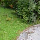 DSC_0302.JPG