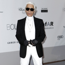 France_amfAR_Cinema_Against_AIDS_Arrivals_CAN650.jpg