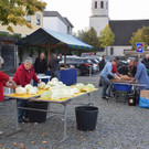 Sauerkraut selber machen
