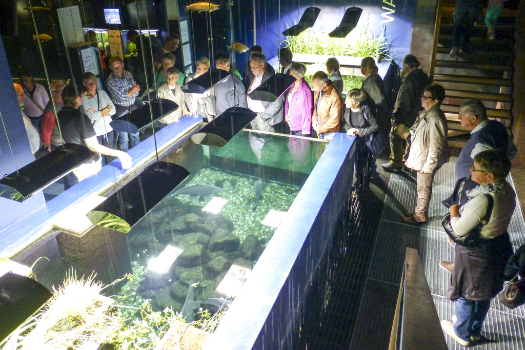 INATURA_070102015_36.jpg
