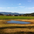 Oktober-Bild II.jpg