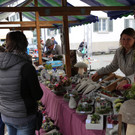 IMG_4061.JPG