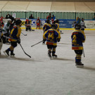 DSC_0028_JPG-1444566756.jpg