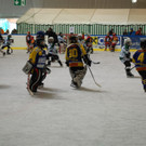 DSC_0029_JPG-1444566776.jpg