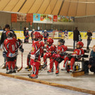 DSC_0032_JPG-1444566833.jpg