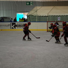 DSC_0033_JPG-1444566854.jpg