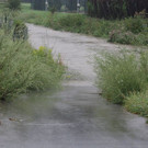 normal_04082009hochwasserta_13_001.jpg