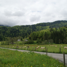 DSC07501.JPG