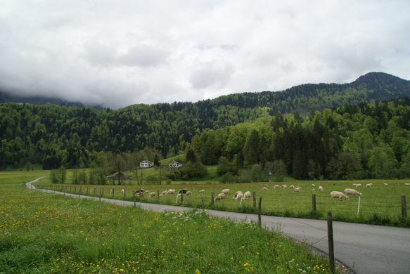 DSC07501.JPG