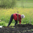 DSC07514.JPG