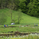 DSC07516.JPG
